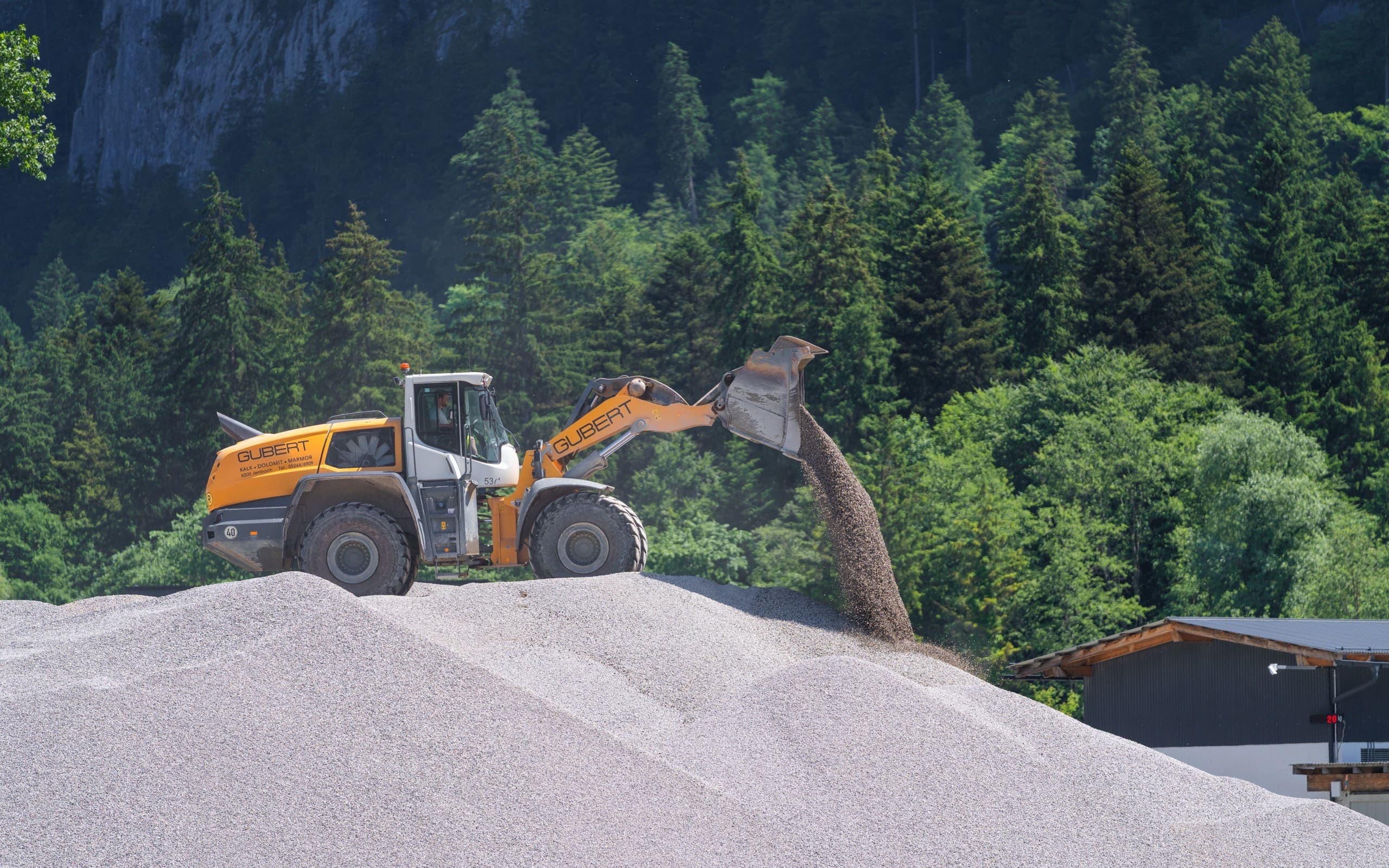 Bagger mit Abbruchhammer im Einsatz